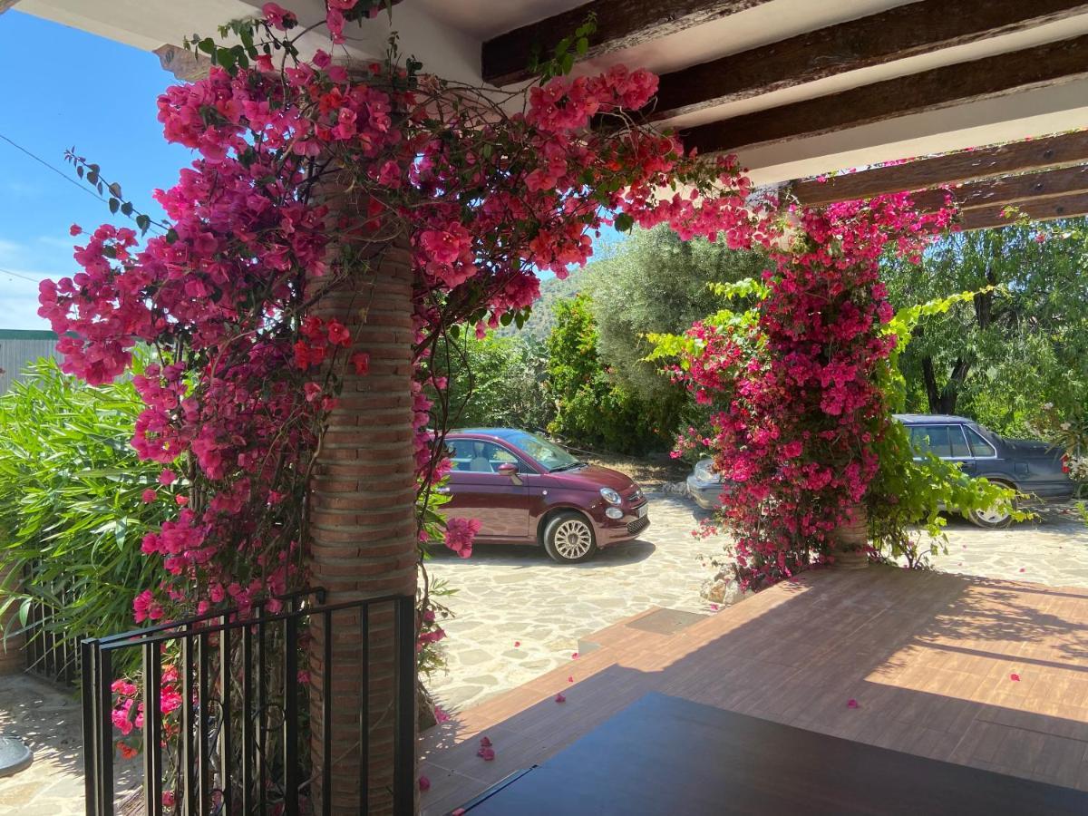 Villa Zahar Periana Exterior photo